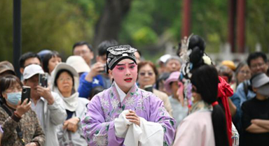 天津：在百年公園邂逅一出好戲