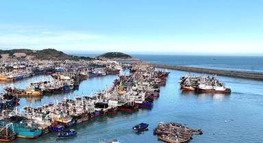 福建霞浦：夏日漁港風(fēng)光入畫
